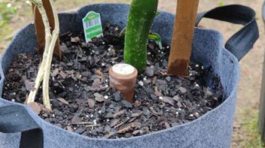 Grow Bag